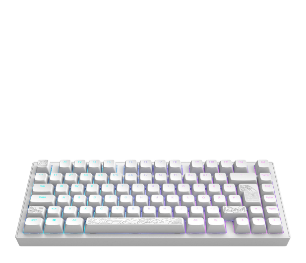 DARK PROJECT ALU81A Terra Nostra White ISO DE Multilingual Support - 1456415 - zdjęcie 6